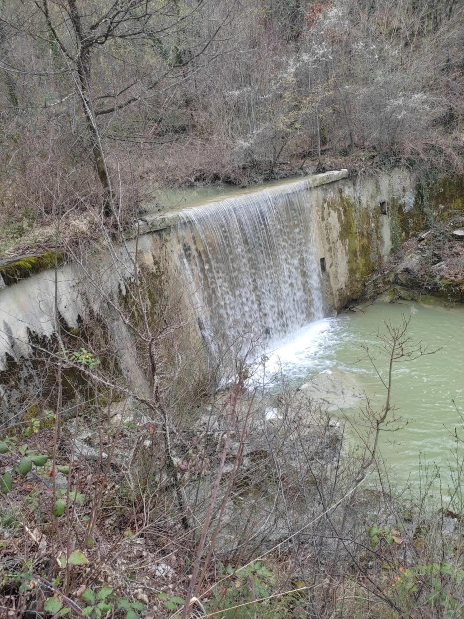 Bari Buzet